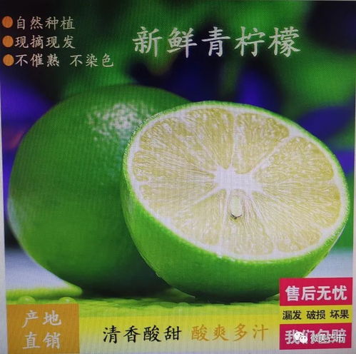 芒市注入兩千余萬(wàn)資金，以電商賦能鄉(xiāng)村振興